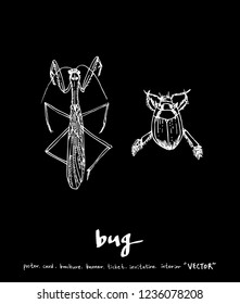Bug sketch / Hand drawn insect illustration - vector