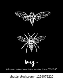 Bug sketch / Hand drawn insect illustration - vector