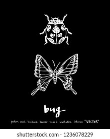 Bug sketch / Hand drawn insect illustration - vector