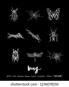 Bug sketch / Hand drawn insect illustration - vector