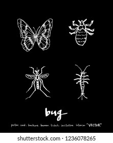 Bug sketch / Hand drawn insect illustration - vector