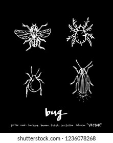 Bug sketch / Hand drawn insect illustration - vector