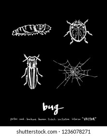 Bug sketch / Hand drawn insect illustration - vector