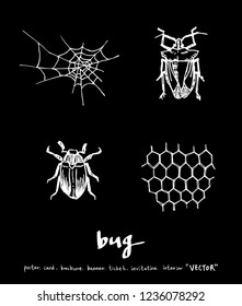 Bug sketch / Hand drawn insect illustration - vector