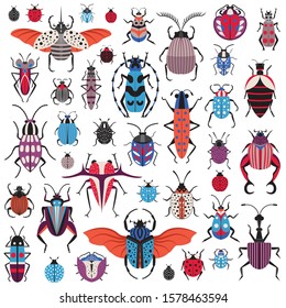 Bug species and exotic beetles icons collection. Various insects set with as Goliath beetle, Frog-legged, Ladybug, Hercules, Tortoise, Colorado potato, Giraffe weevil and other strange bugs in flat.