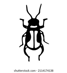 Bug species and exotic beetles icons vector collection. Various insects set with as Goliath beetle, Frog-legged, Ladybug, Hercules, Tortoise, Colorado potato, Giraffe weevil and other strange bugs bee