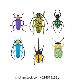 Bug species and exotic beetles icons collection. Various insects set with as Goliath beetle, Frog-legged, Ladybug, Hercules, Tortoise, Colorado potato, Giraffe weevil and other strange bugs in flat.