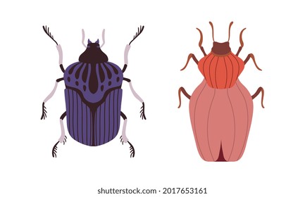 Bug Species Set, Top View of Bugs Cartoon Vector Illustration