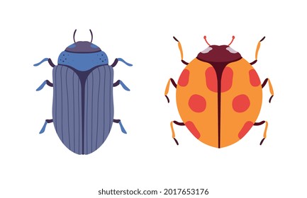 Bug Species Set, Top View of Ladybug and Scarab Beetles Insects Cartoon Vector Illustration