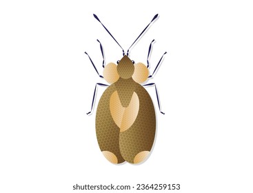 Bug Stephanitis Pyri Vector Art aislado en fondo blanco