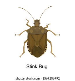 Bug stink vector icon.Cartoon vector icon isolated on white background bug stink.