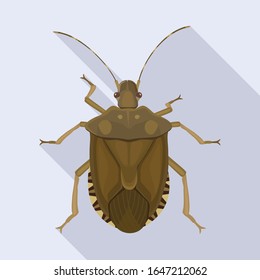 Bug stink vector icon.Flat vector icon isolated on white background bug stink.