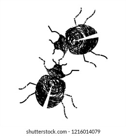 bug or system malware program icon