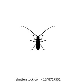 bug vector icon. bug sign on white background. bug icon for web and app
