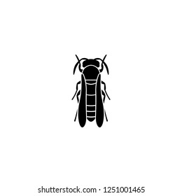 bug vector icon. bug sign on white background. bug icon for web and app