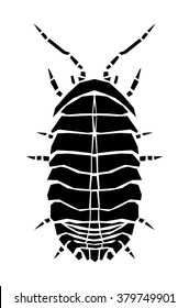 Bug, vector illustration