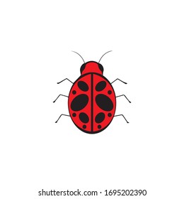 plantilla de diseño de icono de ilustración de vector de error