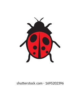 plantilla de diseño de icono de ilustración de vector de error