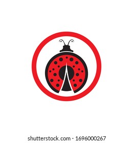 bug vector illustration icon design template