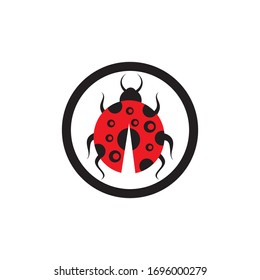 bug vector illustration icon design template