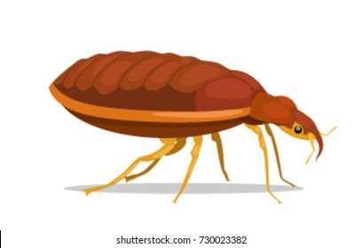 Bug. Vector illustration. Isolated on a white background.