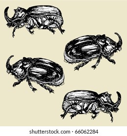 bugs