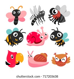Bugs and bird collection