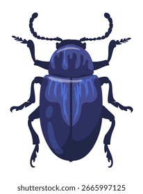 Bugs collection, insect vector design