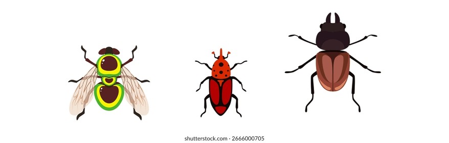 Coleção de bugs, design de vetores de insetos