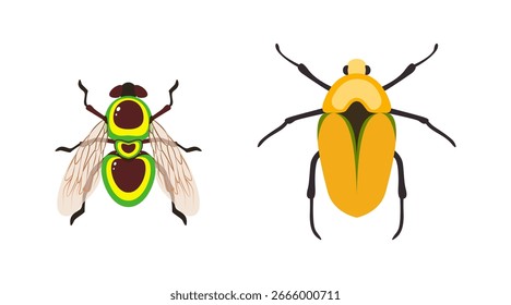 Bugs collection, insect vector design