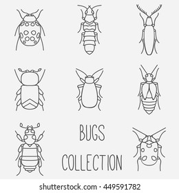 Bugs collection kit. Insects and beetles vector set.