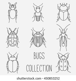 Bugs Collection Kit Insects Beetles Vector Stock Vector (Royalty Free ...