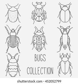 Bugs collection kit. Insects and beetles vector set