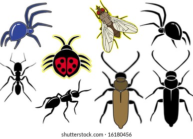 Bugs - Different insects