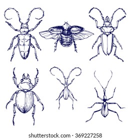 bugs hand drawn sketches vector set
