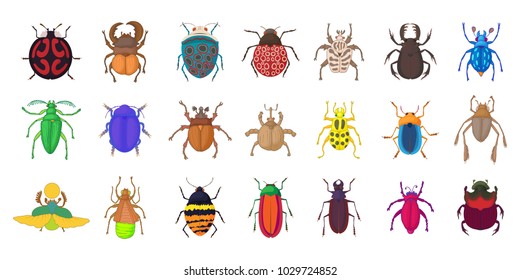 Bugs icon set. Cartoon set of bugs vector icons for web design isolated on white background svg
