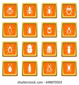 Bugs icons set in orange color isolated vector illustration for web and any design