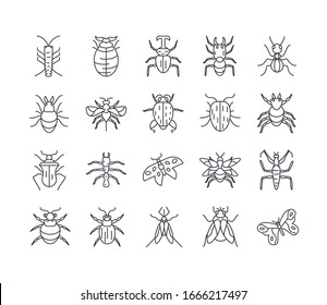bugs and insect icon set over white background, line detail style, vector illustration