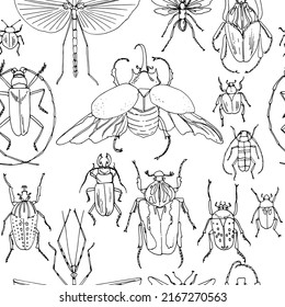 Bugs insect vector line pattern. Black line on white background