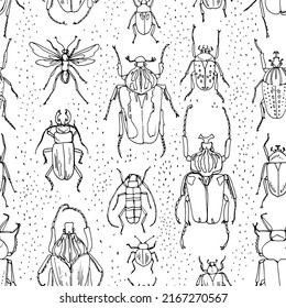 Bugs insect vector line pattern. Black line on white background