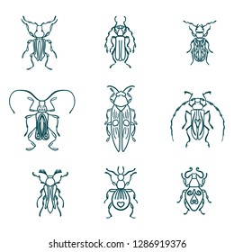 Bugs, insects, Butterfly, ladybug, beetle, swallowtail, dragonfly collection. Modern set of icons, symbols and illustrations. Collection happy cartoon insects. Colorful hand drawn illustration.