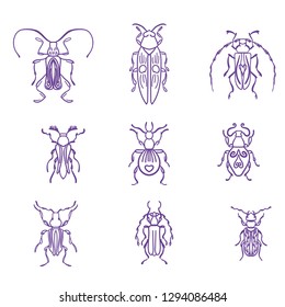Bugs, insects, Butterfly, ladybug, beetle, swallowtail, dragonfly collection. Modern set of icons, symbols and illustrations. Collection happy cartoon insects. Colorful hand drawn illustration.