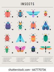 Bugs, insects, Butterfly, ladybug, beetle, swallowtail, dragonfly collection. Modern set of icons, symbols and illustrations