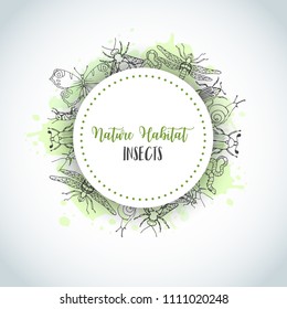 Bugs insects hand drawn background. Pest control concept. Cartoon illustration of pests and bug. Vector illustration concepts for web