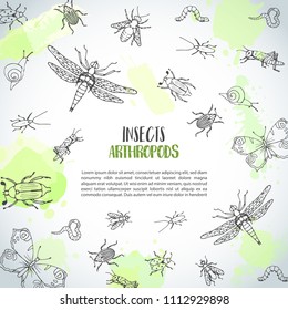 Bugs insects hand drawn