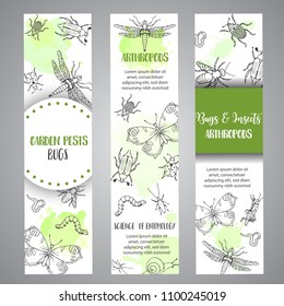 Bugs insects hand drawn banner. Pest control concept. Entomology poster Cartoon illustration of pests and bug. Vector illustration concept