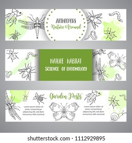 Bugs insects hand drawn banner. Pest control concept. Entomology poster Cartoon illustration of pests and bug. Vector illustration concept