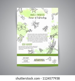 Bugs insects hand drawn banner. Pest control concept. Entomology poster Cartoon illustration of pests and bug. Vector illustration concept