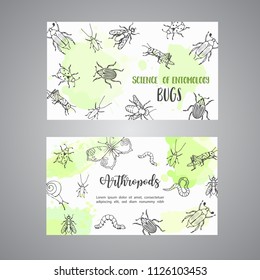 Bugs insects hand drawn cards. Pest control concept. Entomology poster. Cartoon illustration of pests and bug. Vector illustration concept