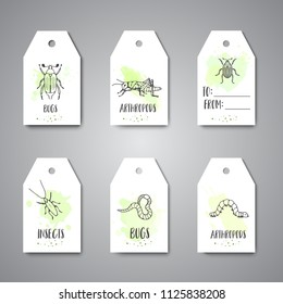 Bugs insects hand drawn tag Pest control concept. Entomology cards. Cartoon illustration of pests and bug. Vector illustration